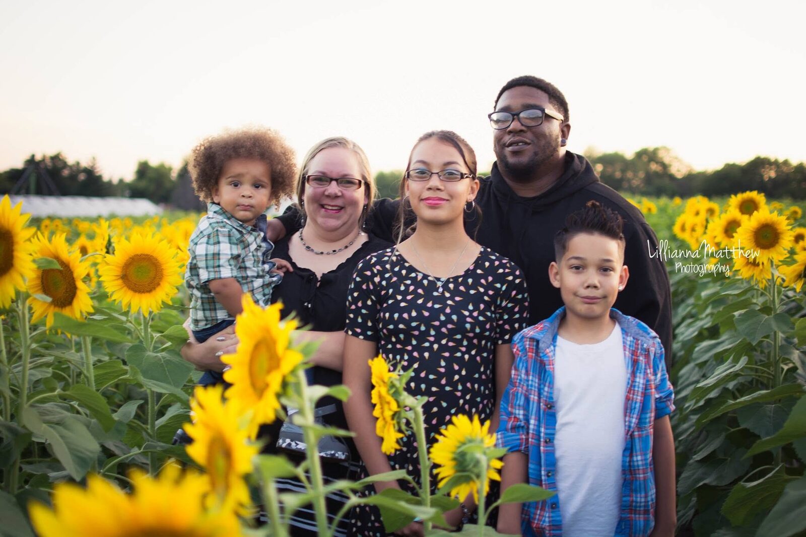 Full family of five posed together in a sunflower field