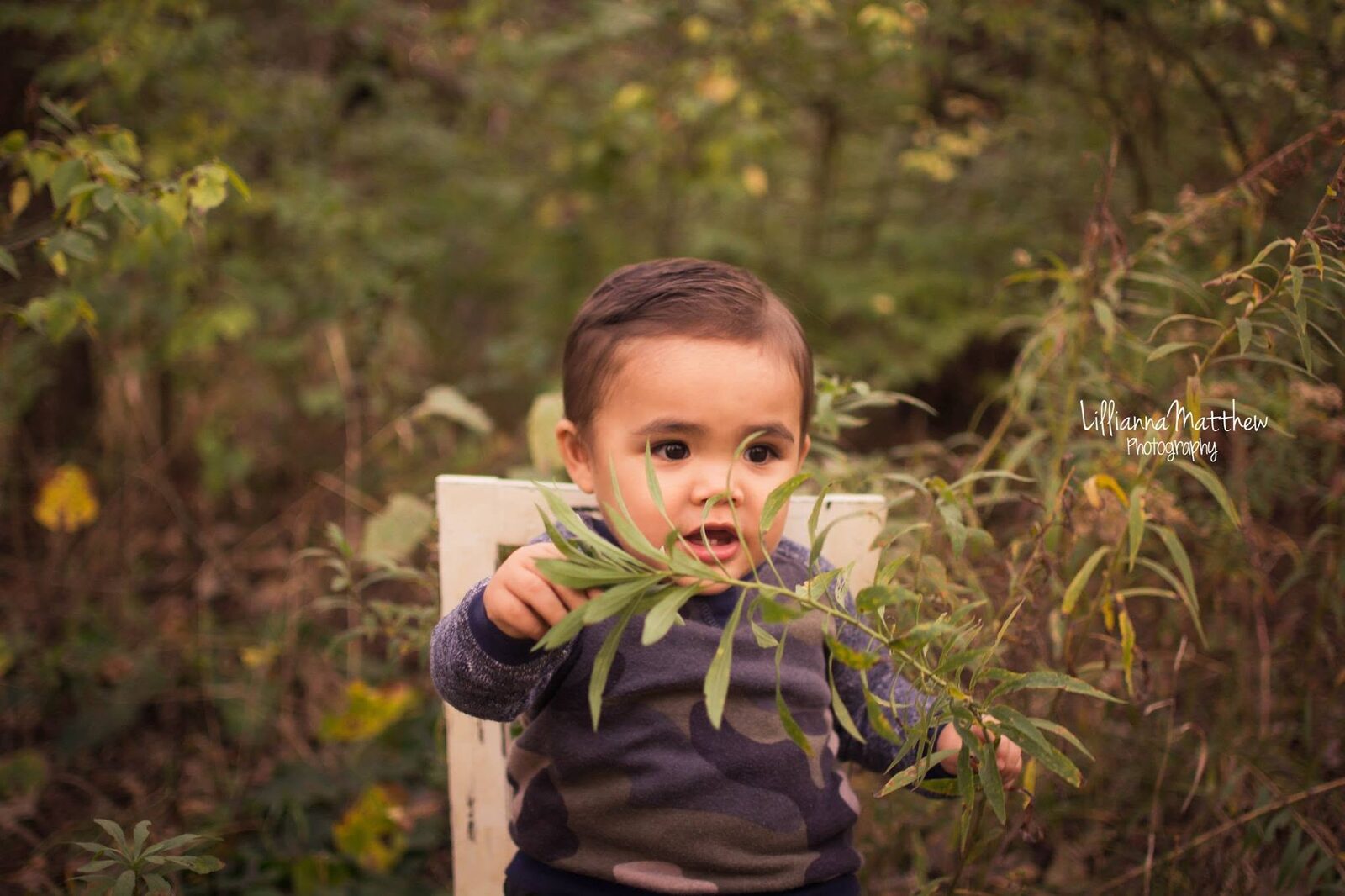 Toddler boy playfully holding a leafy branch while seated on a rustic wooden chair prop