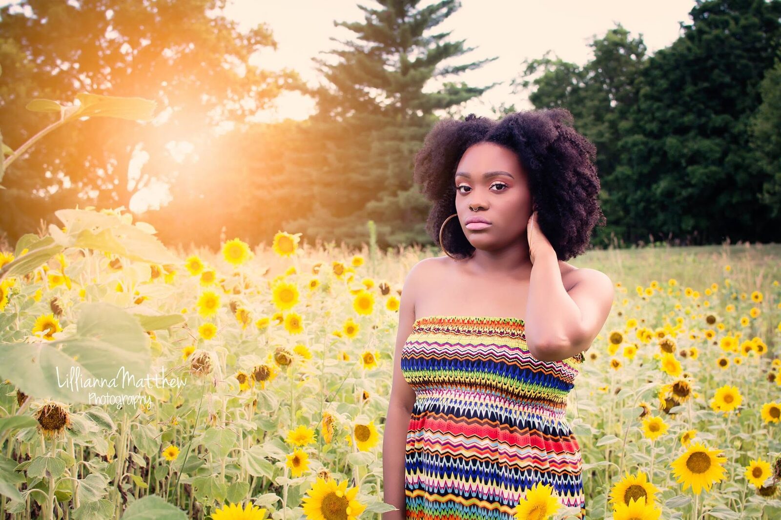 Portrait in a striped dress standing in a sunflower field at golden hour