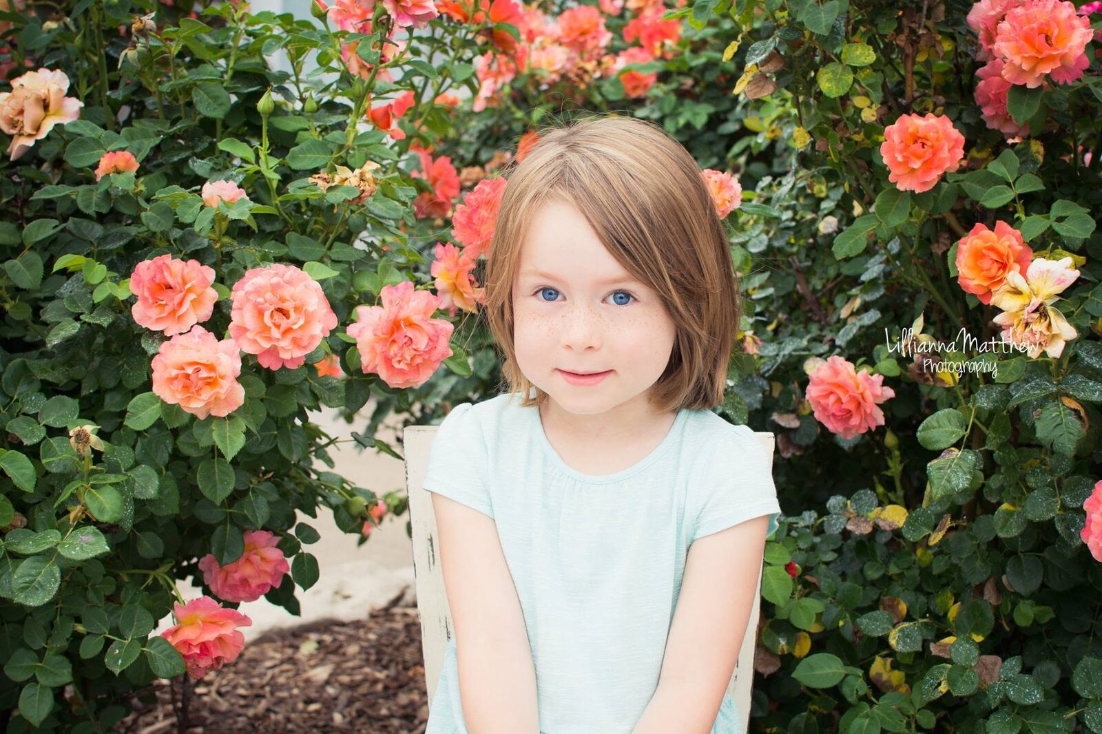 Solo portrait of a little girl surrounded by pink and orange roses