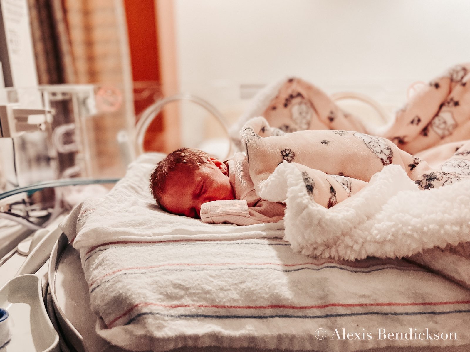 Emme sleeping in a pink floral wrap, February 2022