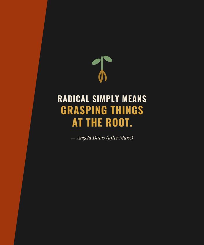 Radical Means Grasping Things at the Root